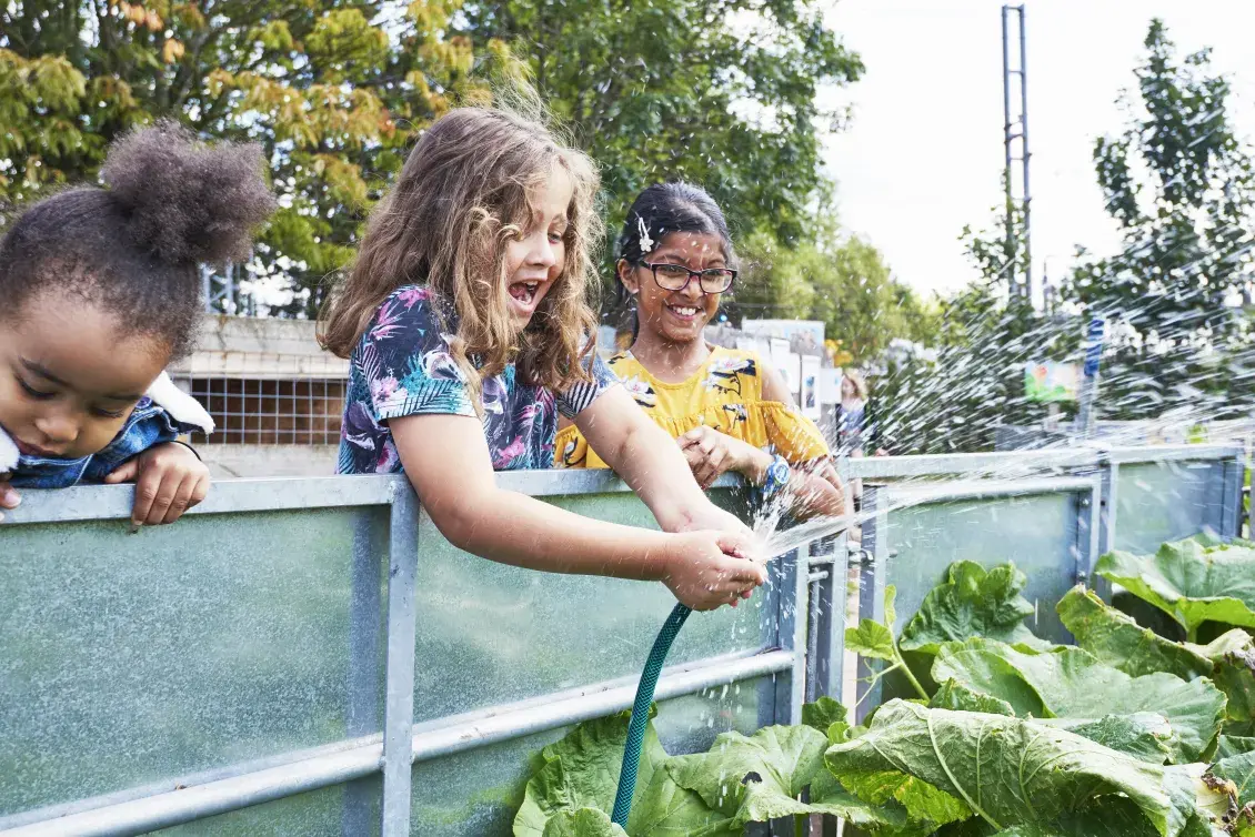 A young girl waters a garden as two girls watch