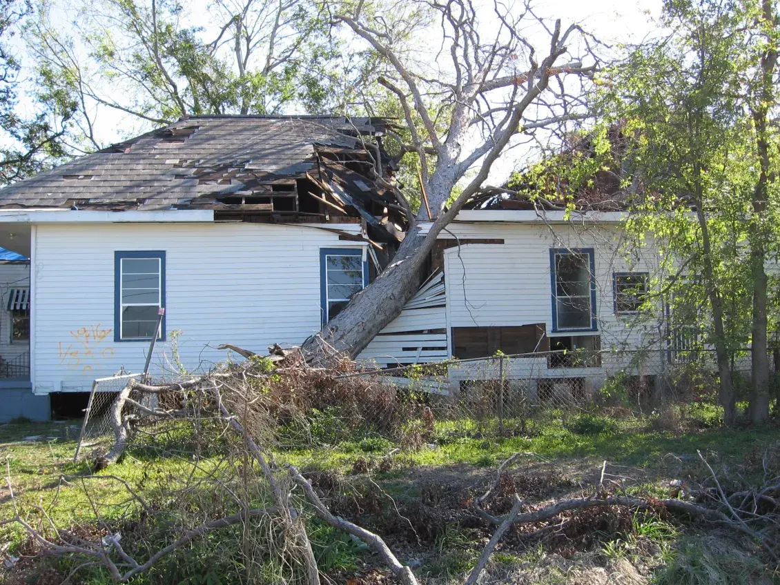 House with fallen tree on roof