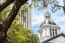 Skyward view of the dome of the Florida state house with branches of the tree framing it 
