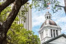 Upward view of the Florida Capitol Building with trees in the foreground