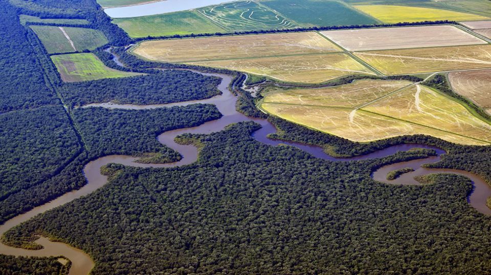 Aerial view of forested land with a winding river through it.