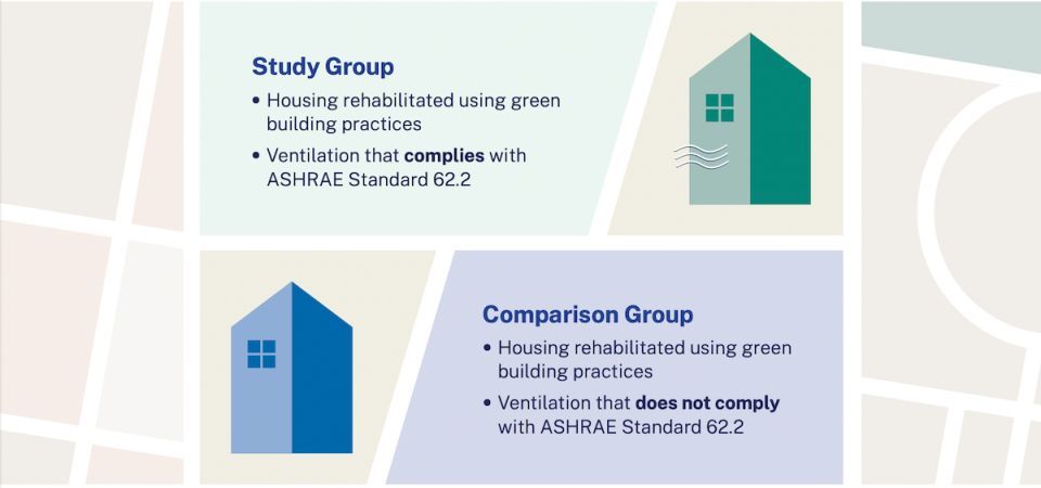 Graphic of Groups in the Study