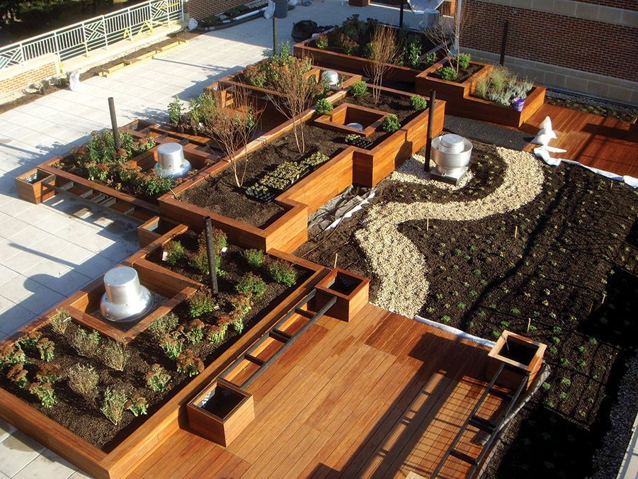 Aerial view of a rooftop garden