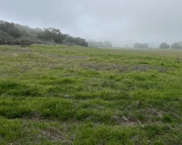 Mesa Grande north field