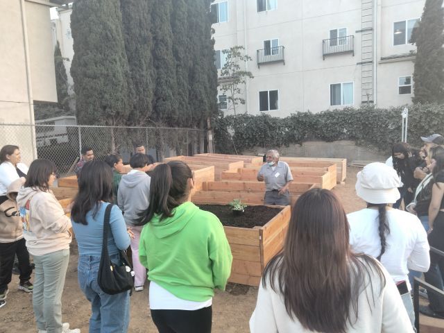 Group of people stand around a raised garden bed with apartments in the background