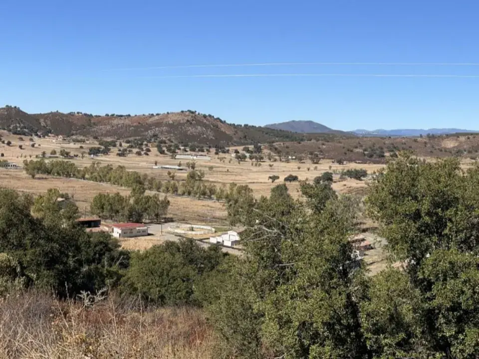 It Takes a Village to Build a Village