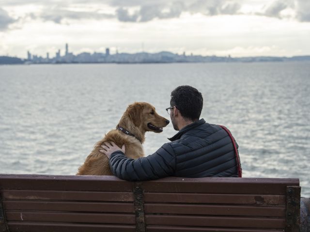 Man and dog sitting on a bench by the water with a city skyline in the background